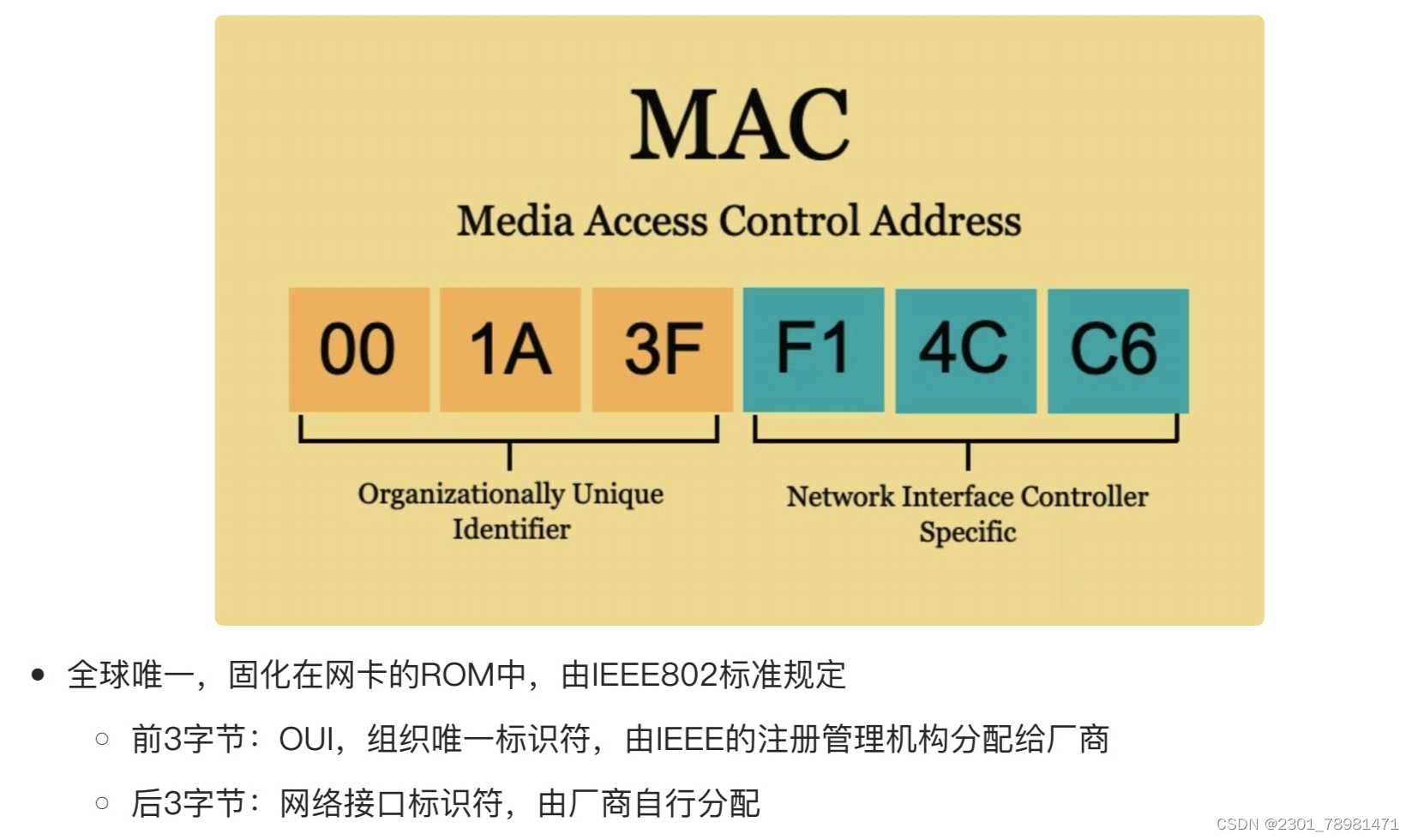 <span style='color:red;'>计</span><span style='color:red;'>网</span>Lesson5 - MAC <span style='color:red;'>地址</span>与 ARP