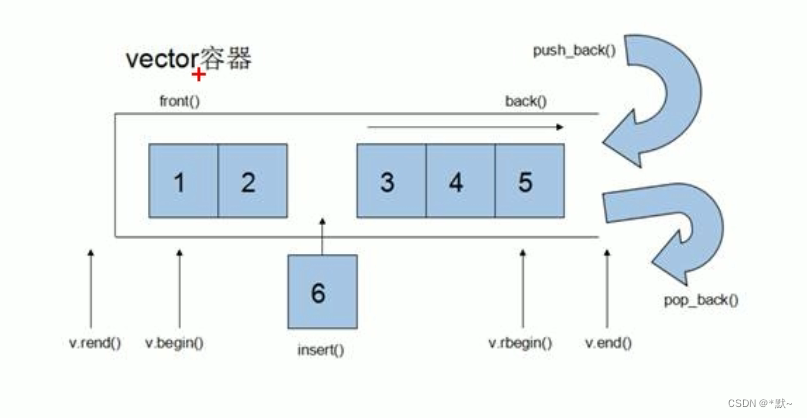 vector的相关概念及常用接口