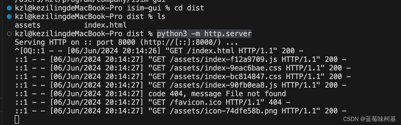 python3 -m http.server 检查打包前端的项目