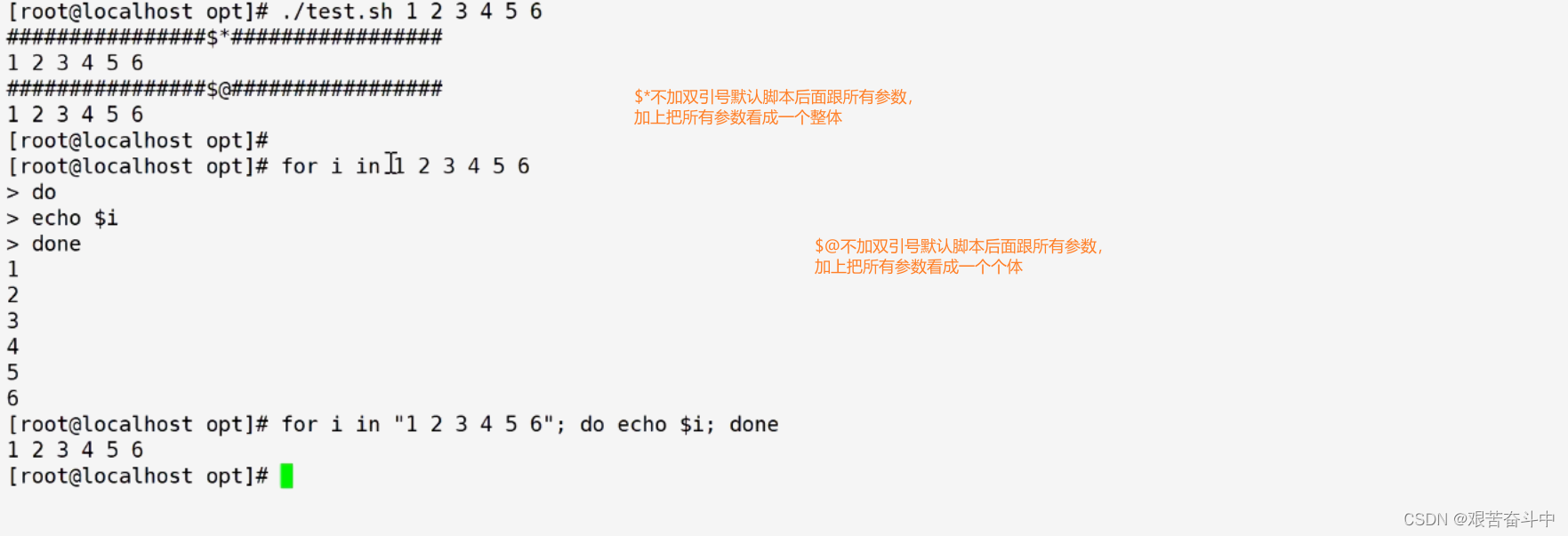 Shell变成规范与变量