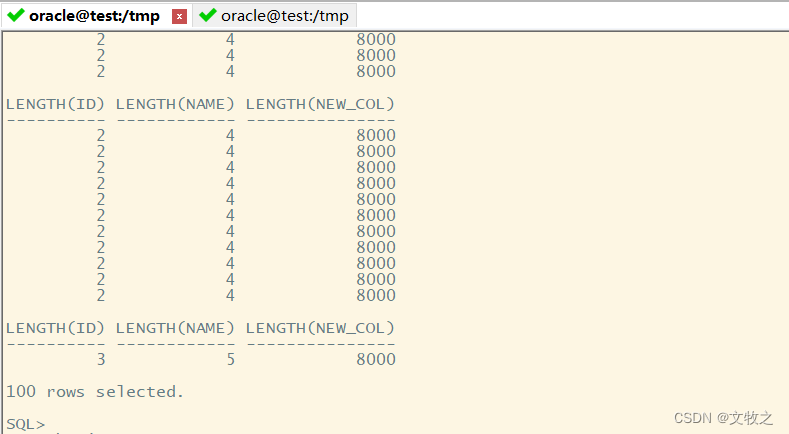 如何使用PL/SQL Developer工具导出clob字段的表？