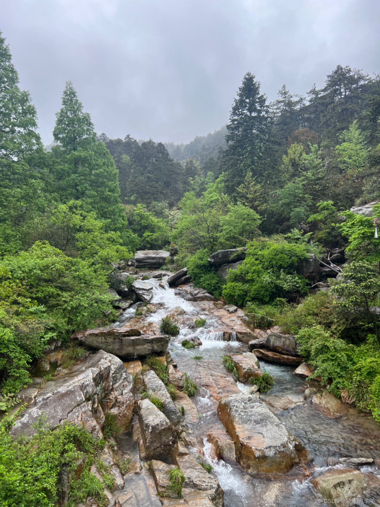 旅游系列之：庐山美景