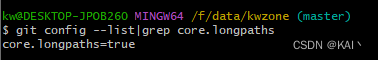 【Git】fatal: bad boolean config value ‘true~‘ for ‘core.longpaths‘
