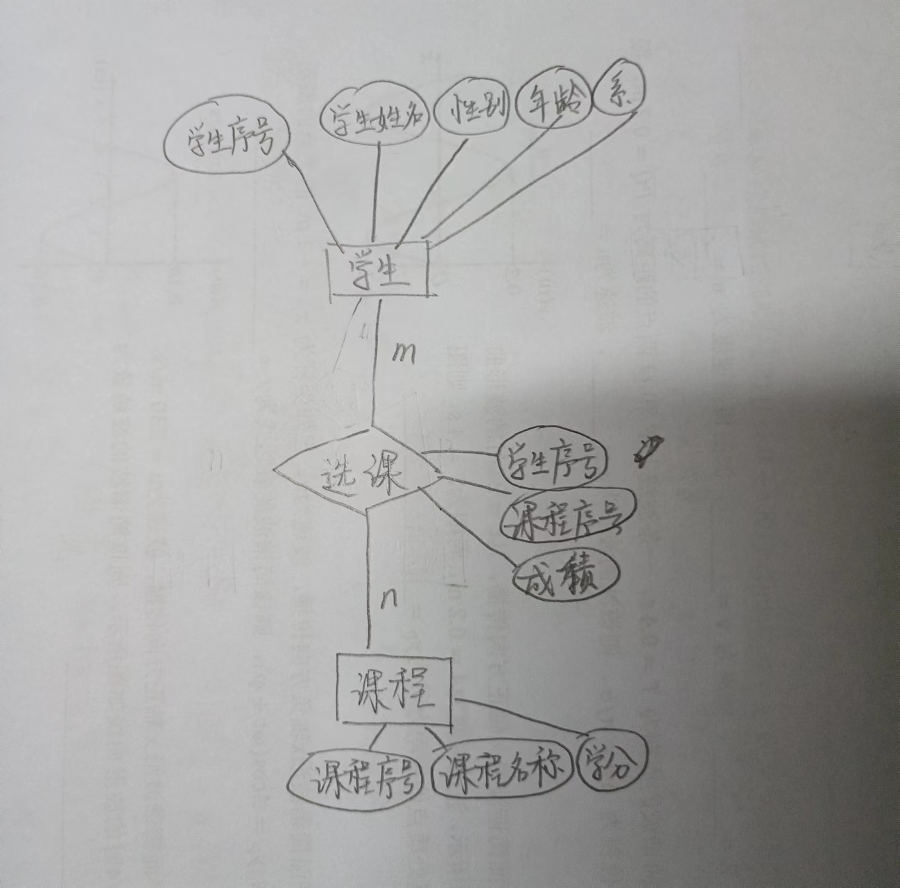 【SQL Server】实验八 <span style='color:red;'>综合</span><span style='color:red;'>设计</span>