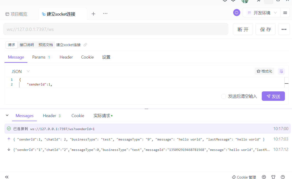 SpringBoot整合Netty整合WebSocket-带参认证