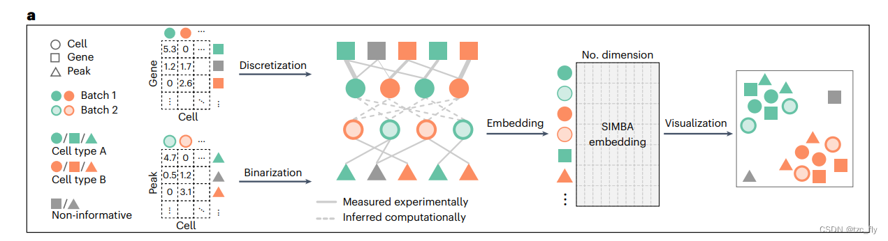 SIMBA：单细胞嵌入与特征