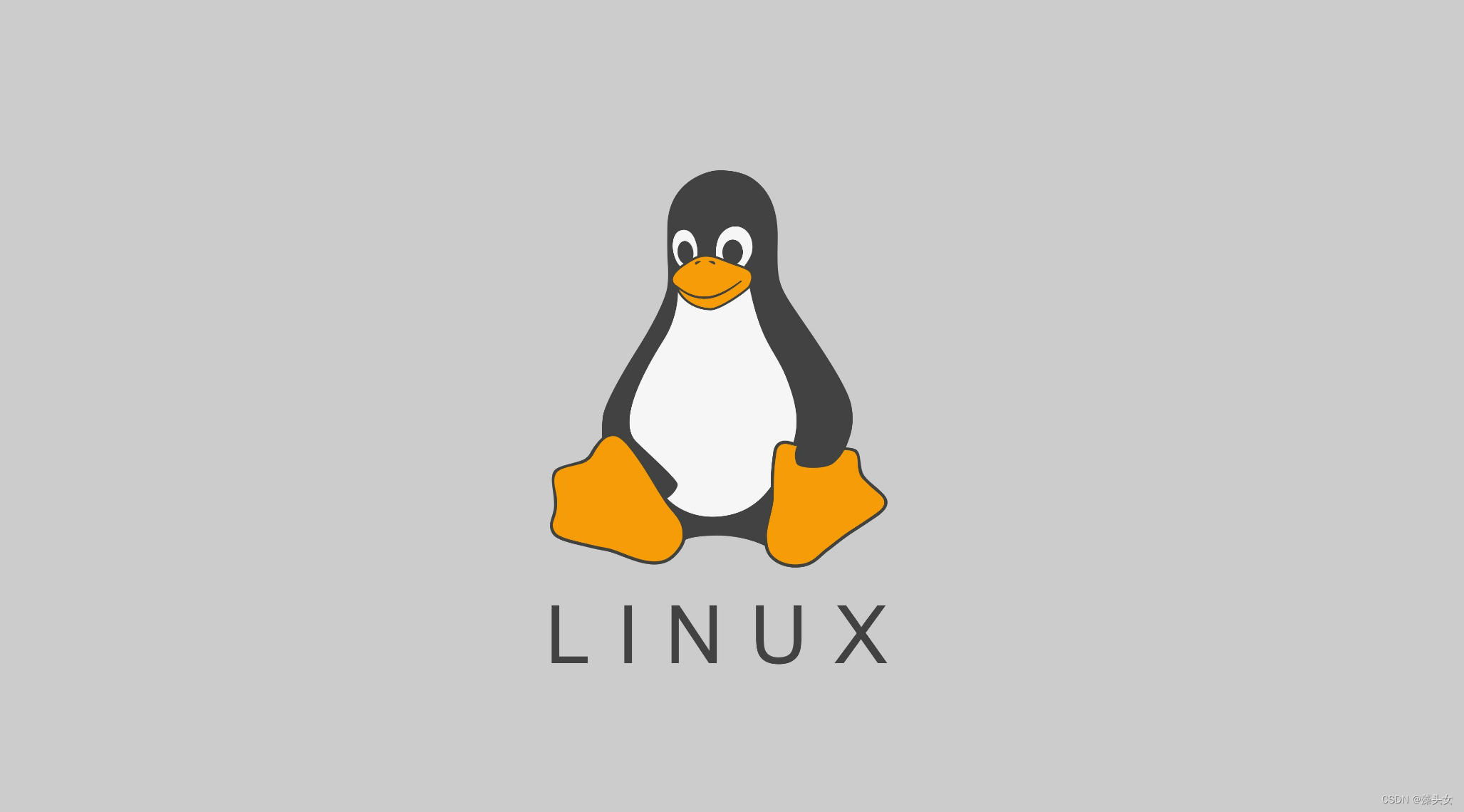 Linux软件管理rpm和yum