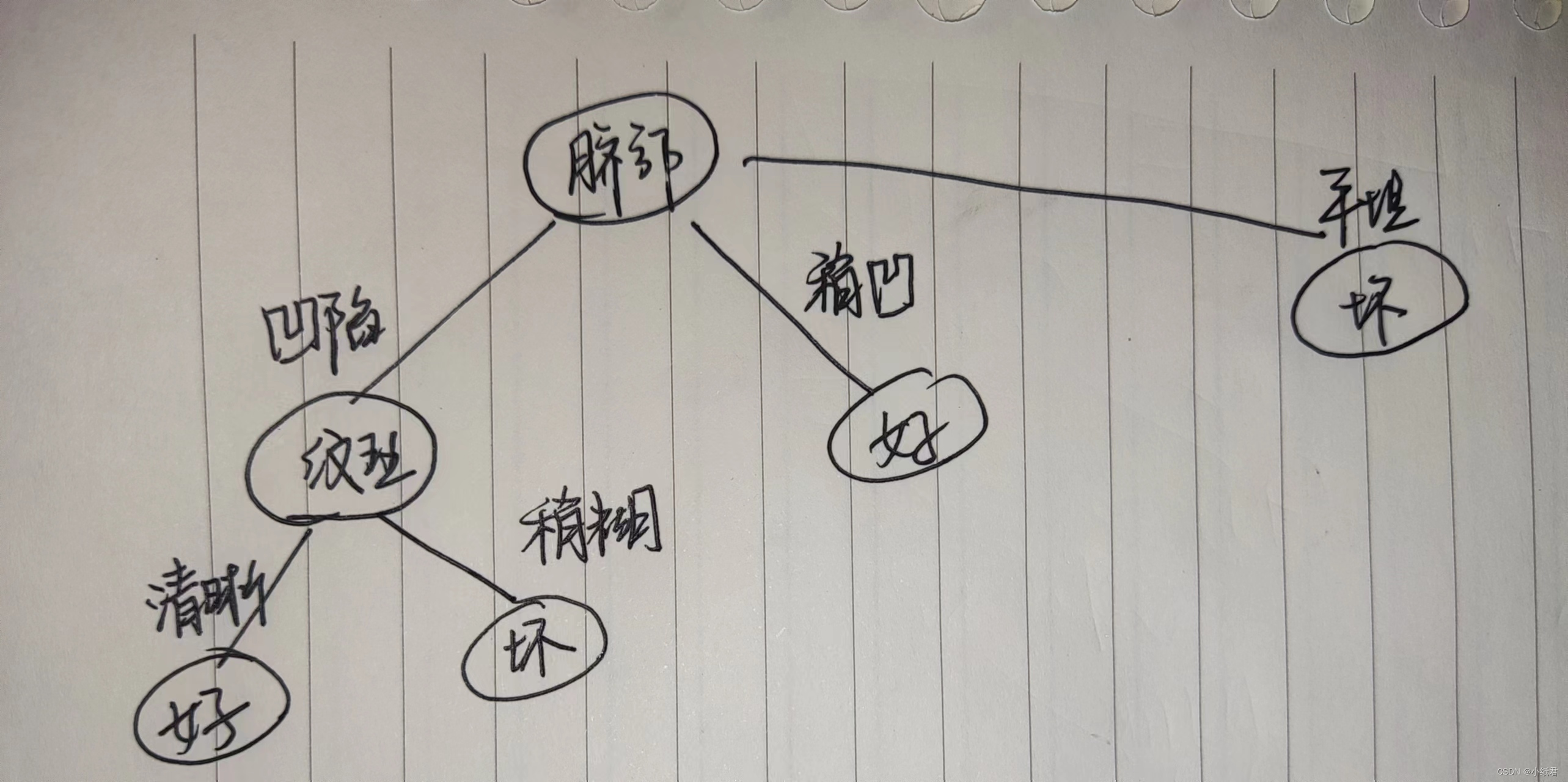 机器学习——决策树（四）后剪枝