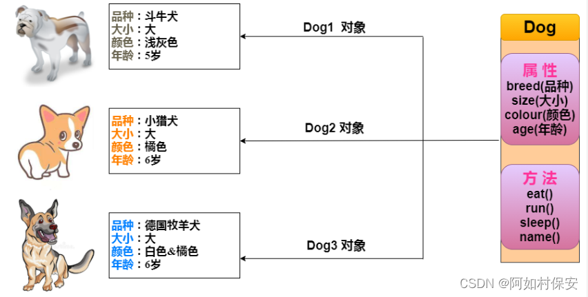 JAVA基础语句1