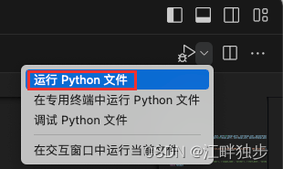 在VSCode中运行Python脚本文件时如何传参