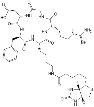 c(RGDfK)-<span style='color:red;'>Biotin</span>，<span style='color:red;'>生物</span><span style='color:red;'>素</span><span style='color:red;'>Biotin</span><span style='color:red;'>标记</span>细胞穿膜环<span style='color:red;'>肽</span>c（RGDfk）