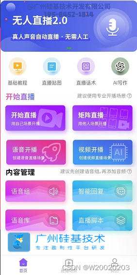 网络时代的新宠