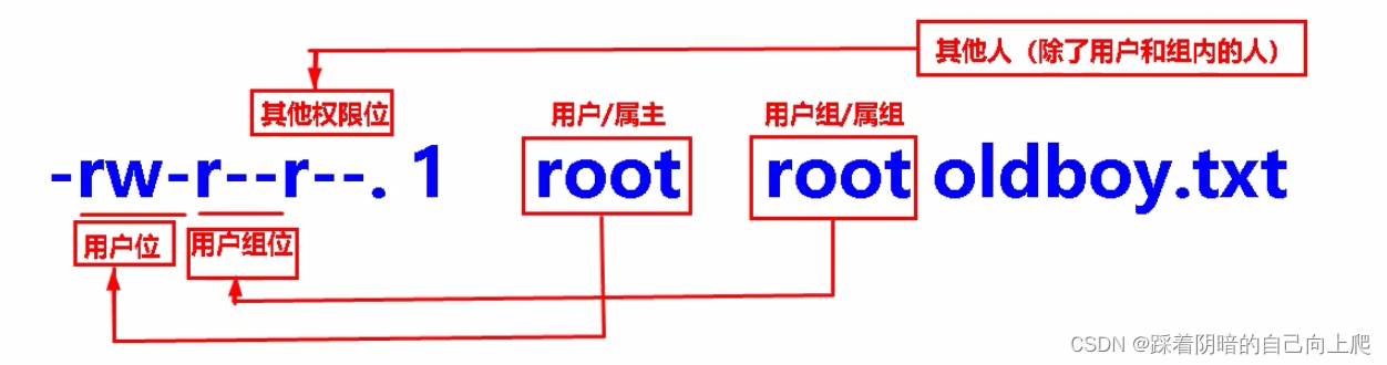 Day14-Linux系统基础权限知识精讲