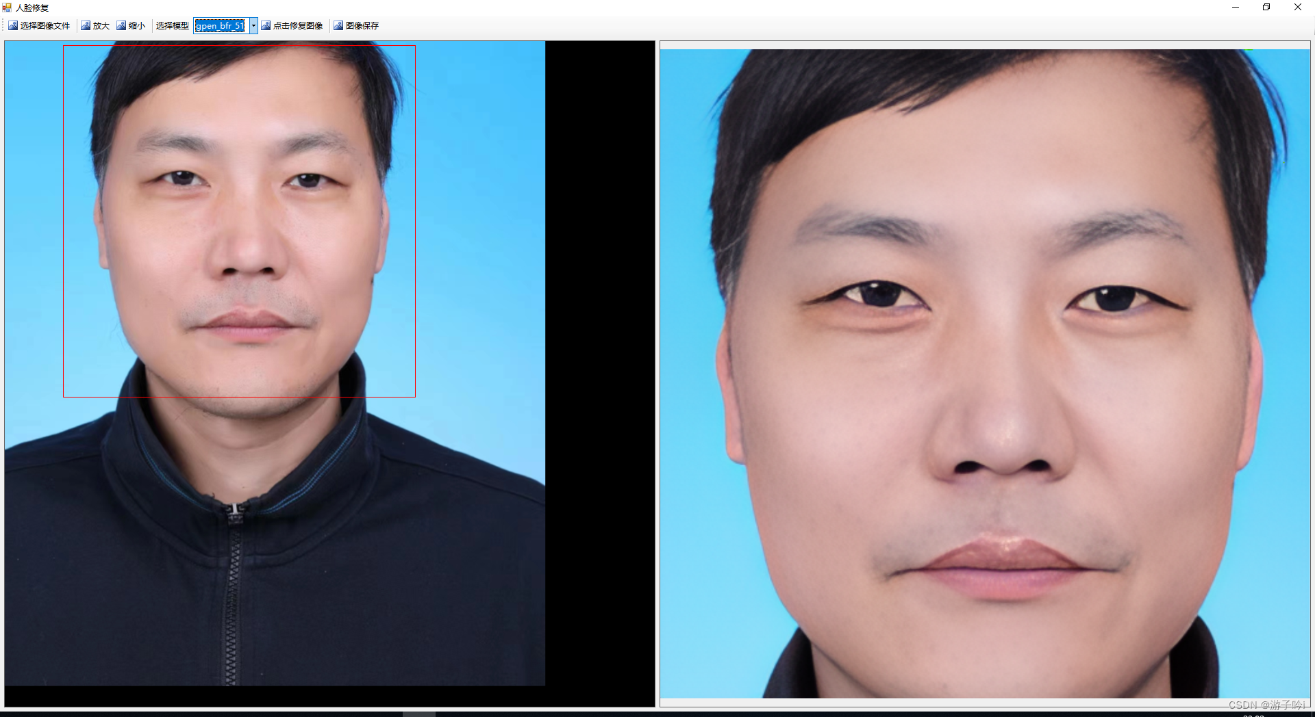 WinForm(C#) 人脸修复