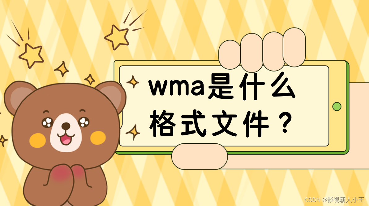 wma格式可以用u盘插音响播放吗？