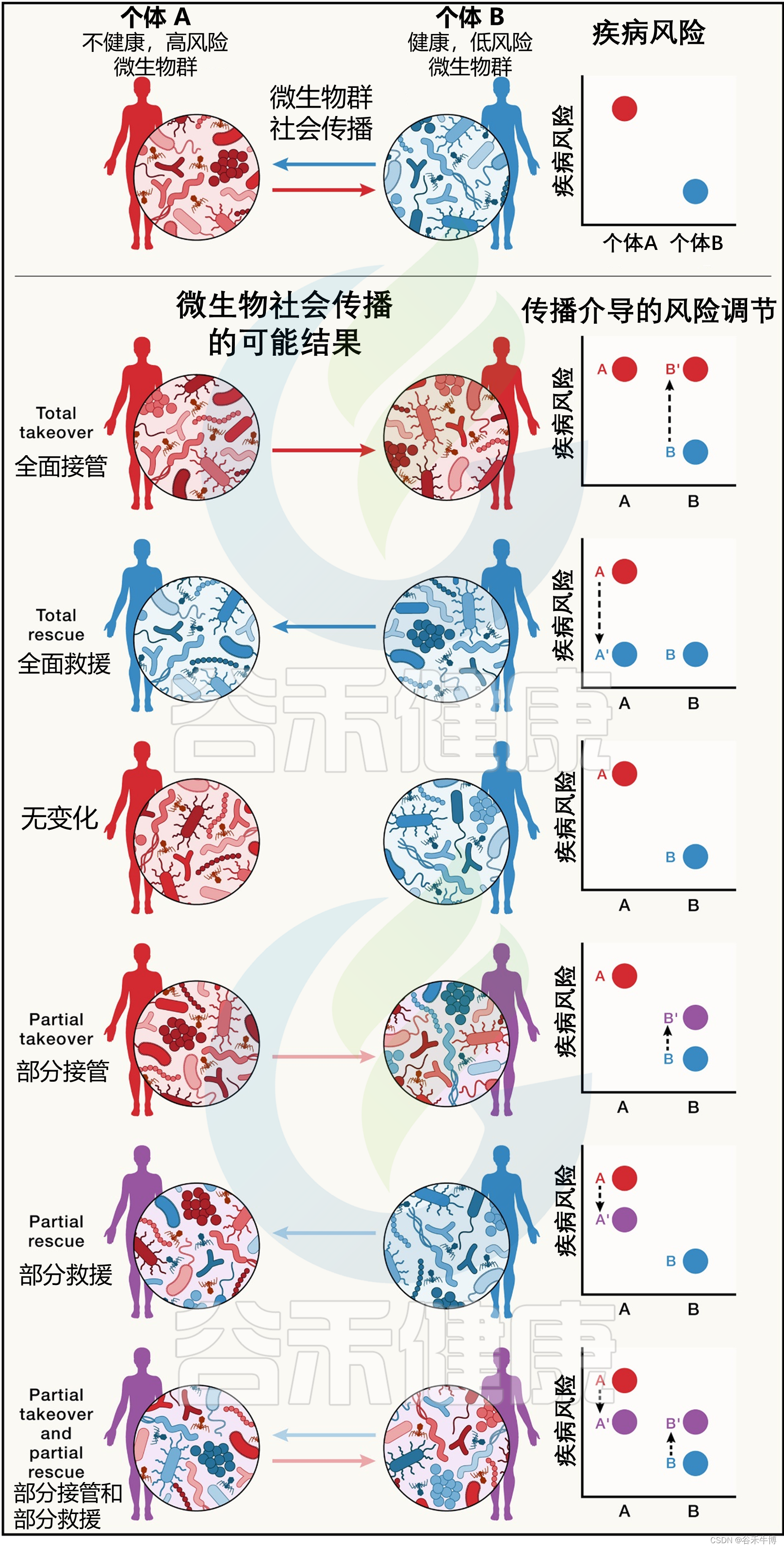 CELL文献速递 | 了解微生物如何在社会中传播并塑造我们的健康