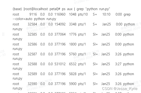 linux批量查询python进程，批量关闭