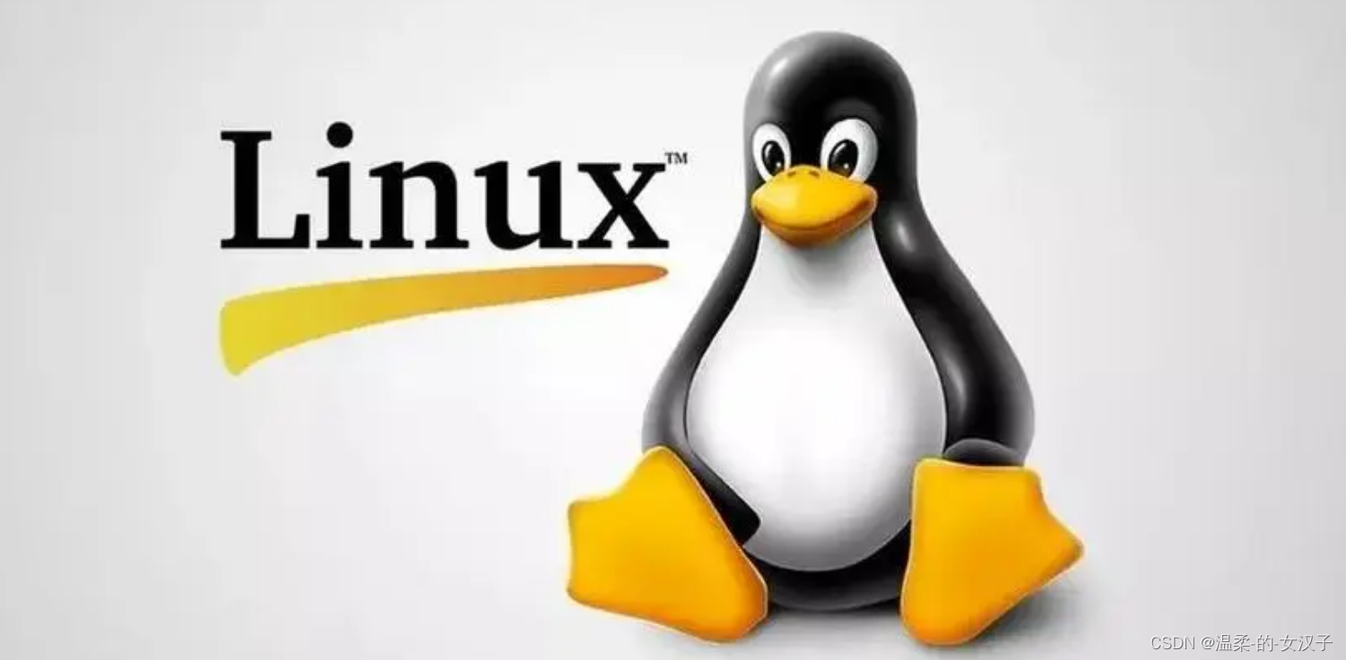 【Linux】error: Failed to initialize NSS library