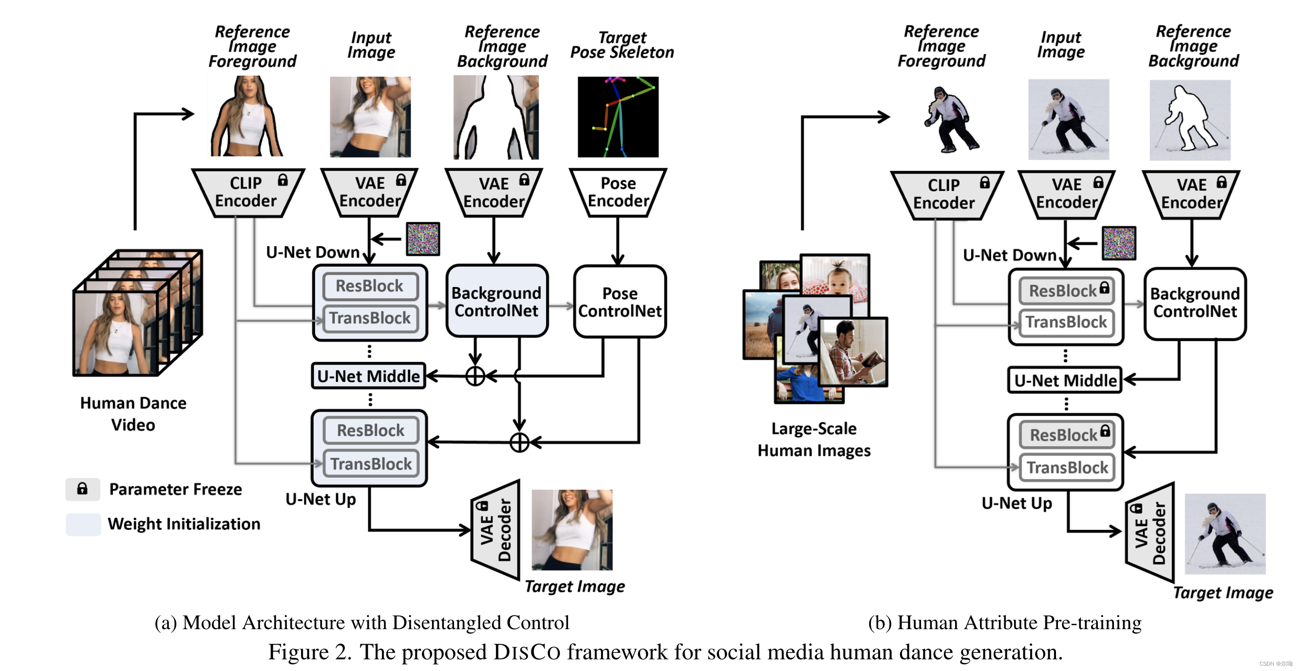 DISCO: Disentangled Control for Realistic Human Dance Generation