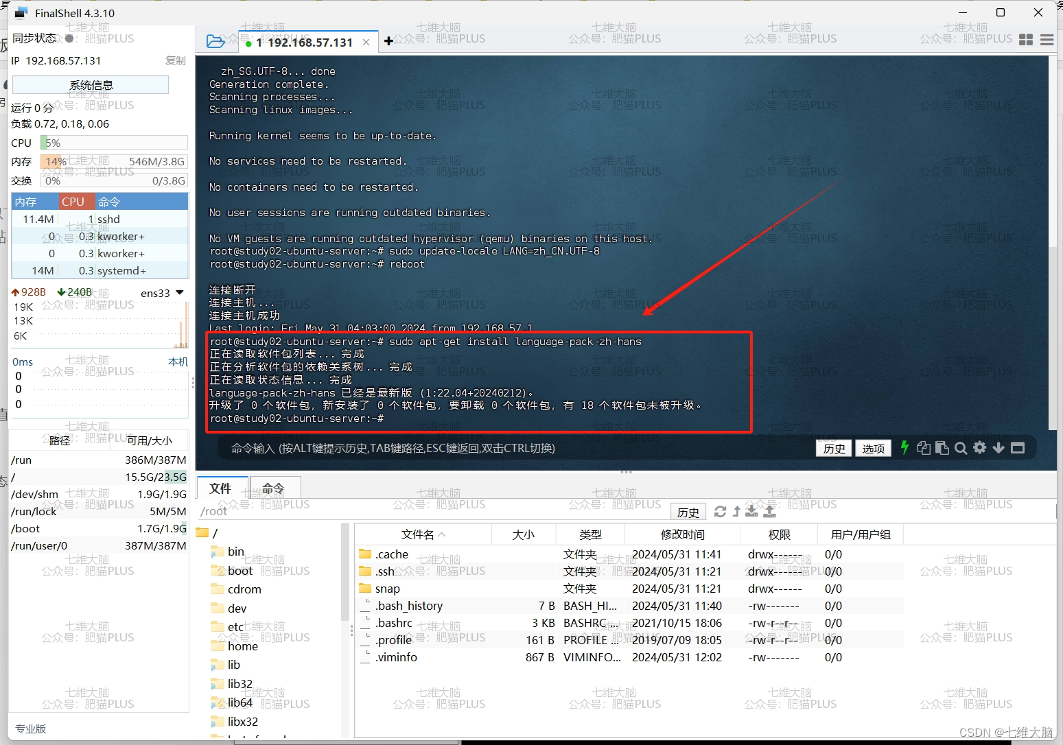 VMware虚拟机安装Ubuntu-Server版教程(超详细)