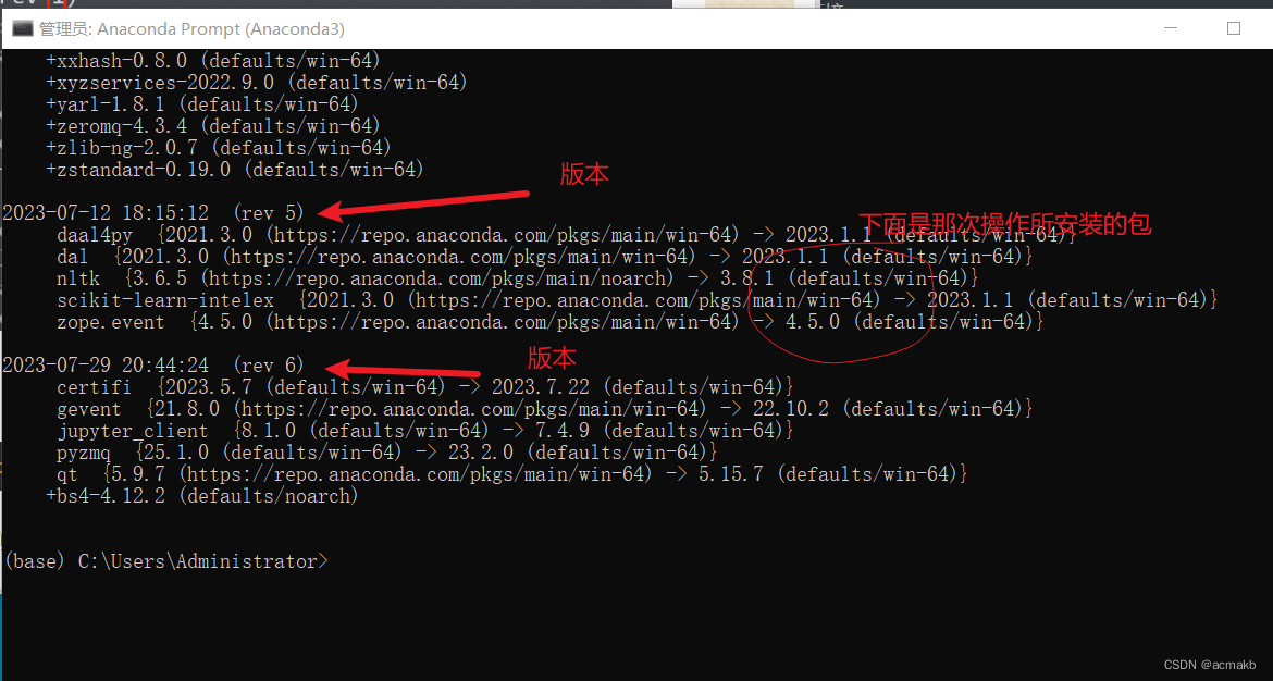 深入了解pip和conda：高效Python环境管理的必备指南