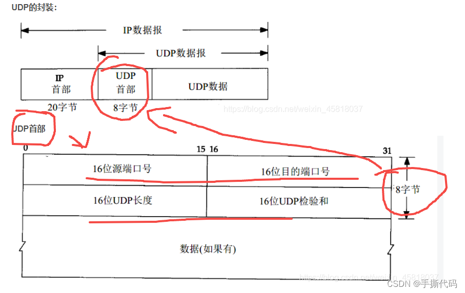 网络原理-传输层-UDP报文结构