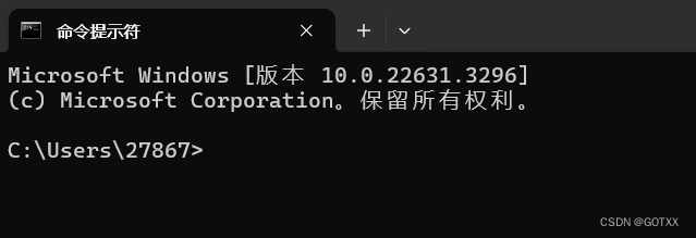 【Linux学习】初识Linux指令(一)