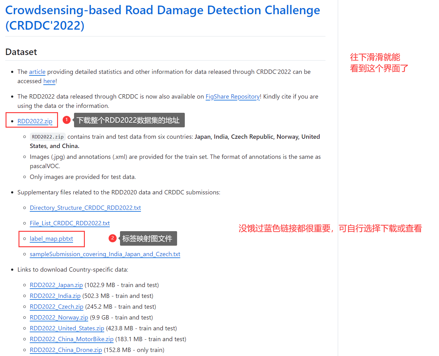 道路病害检测数据集RDD2022的标签映射关系【参考自官网给出的label_map.pbtxt文件，附查看代码】