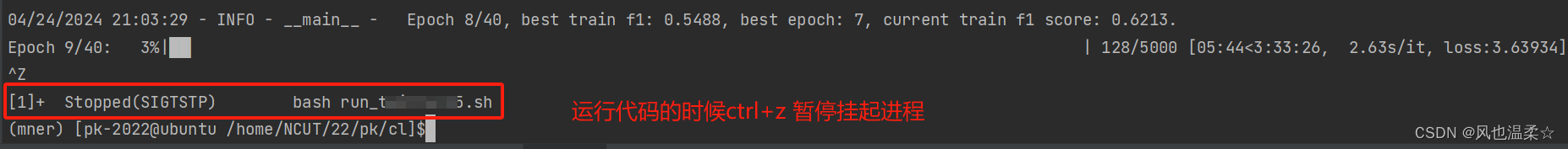 Linux中Ctrl+C和Ctrl+Z的区别_实战讲解(超详细)