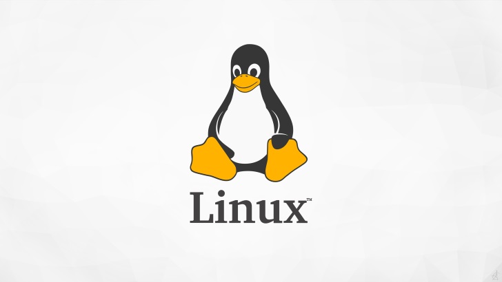 【Linux】深入理解ls命令