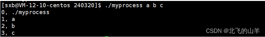 【Linux】详谈<span style='color:red;'>命令</span><span style='color:red;'>行</span><span style='color:red;'>参数</span>&&<span style='color:red;'>环境</span><span style='color:red;'>变量</span>