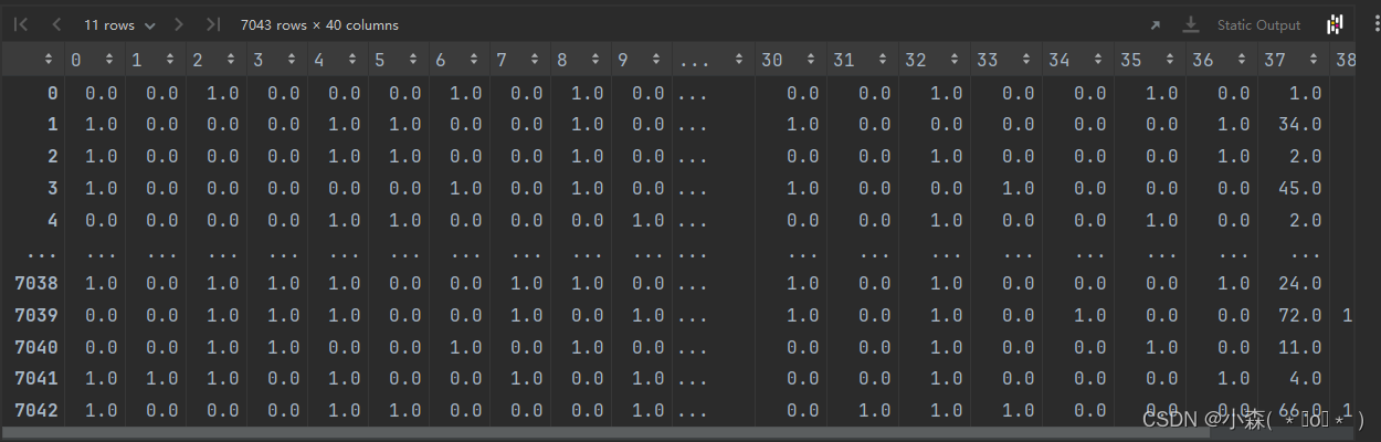 【Kaggle】Telco Customer Churn 数据编码与模型训练