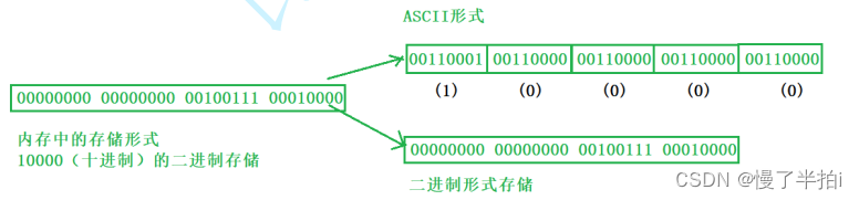 C语言——P/文件操作