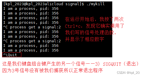 运行结果