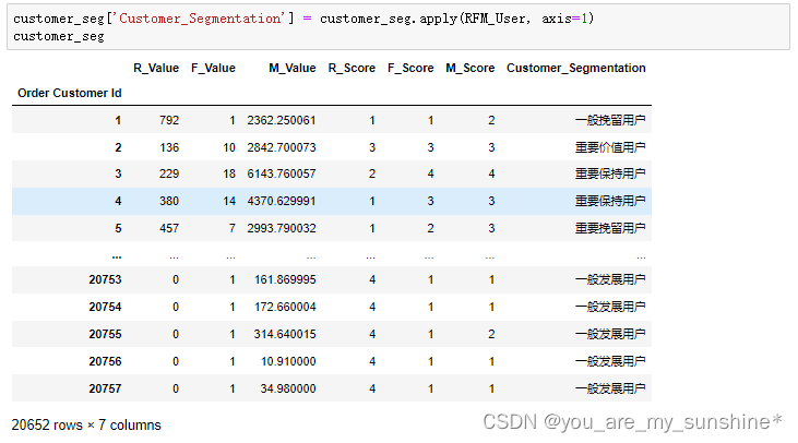 Python综合数据分析_RFM用户分层模型