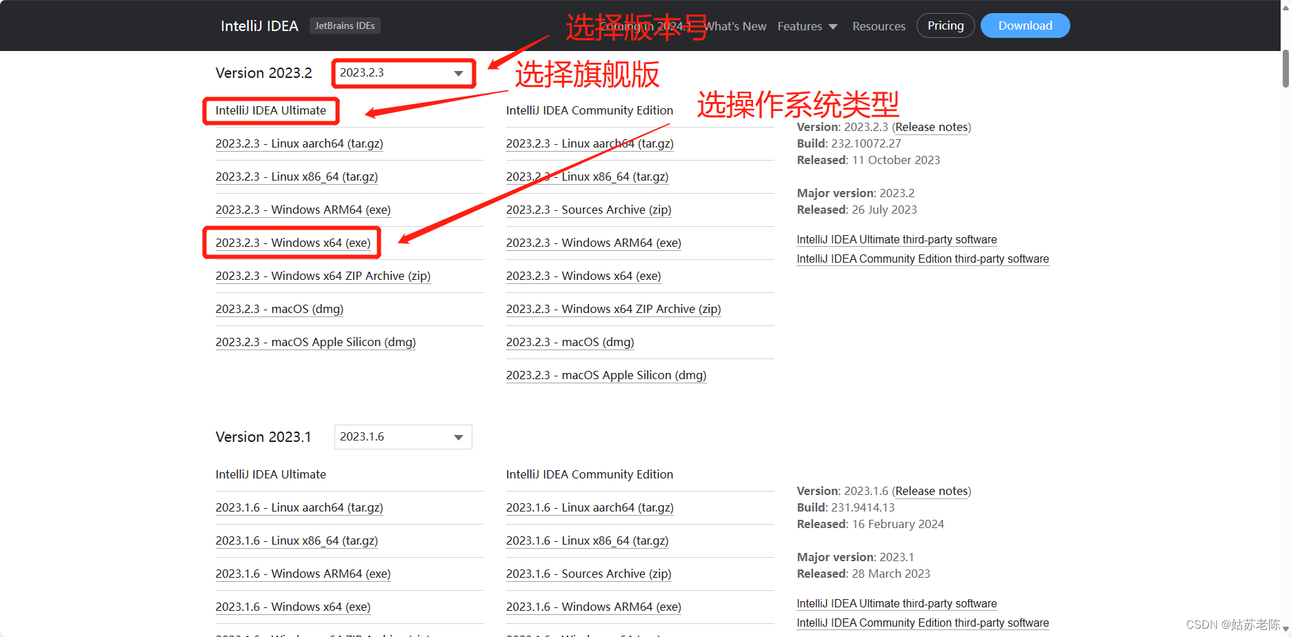 【开发环境搭建篇】IDEA安装和配置