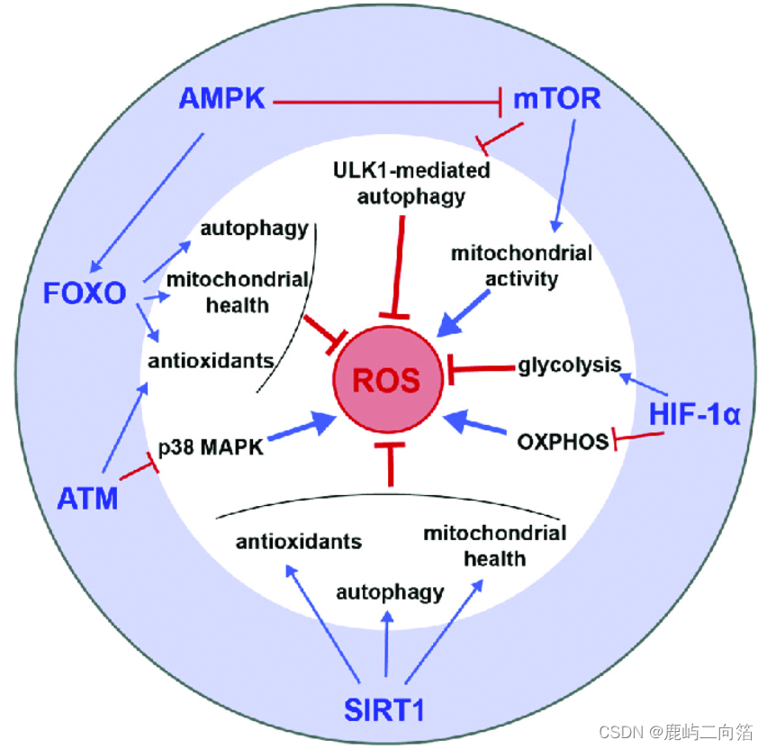 【ROS里程计】中部分代码解释_reset odom-CSDN博客