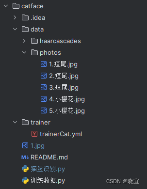 基于opencv的猫脸识别模型