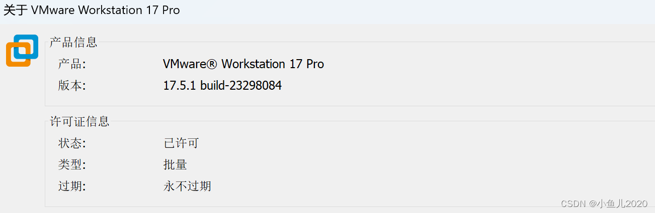 VMware Workstation Pro 17 虚拟机软件安装教程