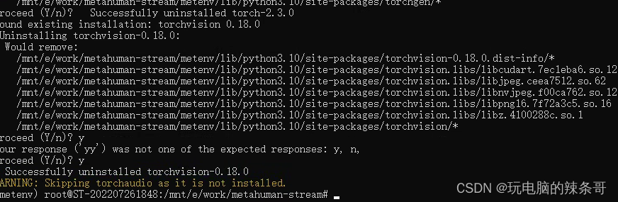 Ubuntu如何更换 PyTorch 版本