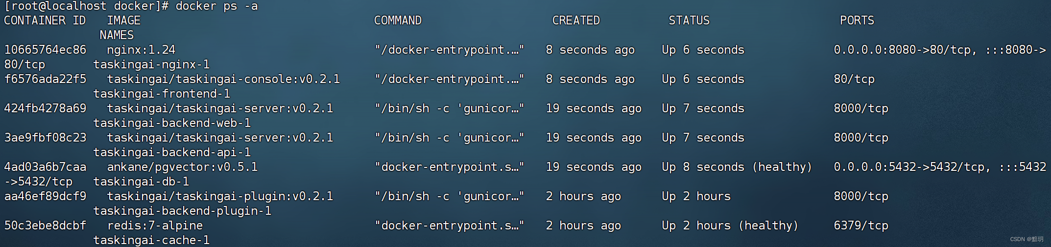 docker容器启动状态