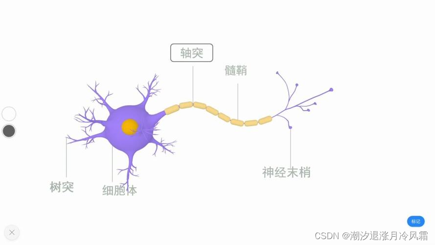 机器学习——神经网络基础