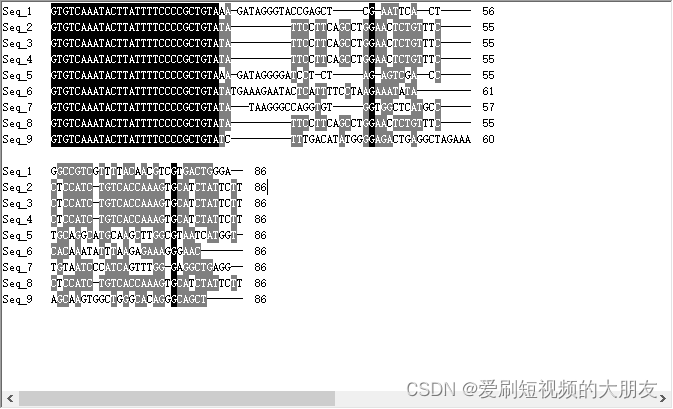 <span style='color:red;'>PS</span>-ZB转座子<span style='color:red;'>分析</span>流程<span style='color:red;'>2</span>-重新<span style='color:red;'>分析</span>并总结