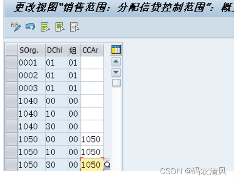 S4 Hana SD -信贷管理 - 02