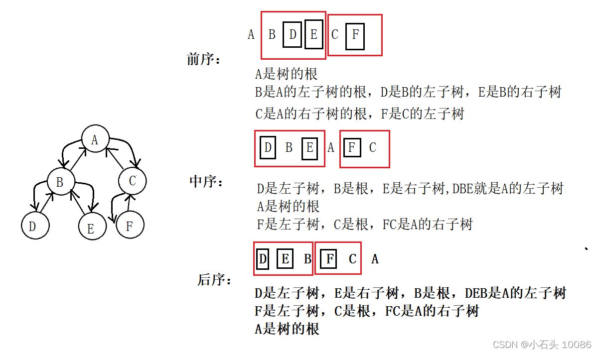 【C语言 || 数据结构】二叉树