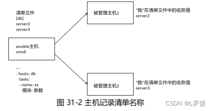 ansible变量的使用