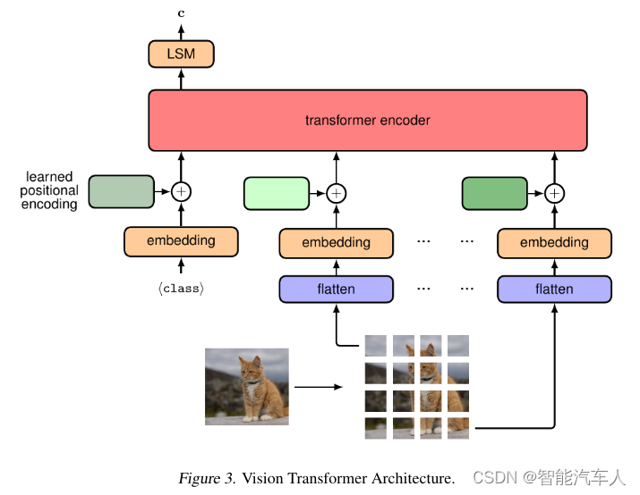 自动驾驶---视觉Transformer的应用