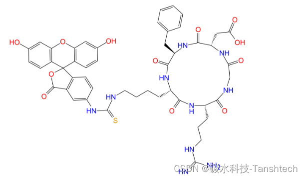 c(RGDfK)-FITC, 绿色荧光FITC标记细胞穿膜肽c（RGDfk