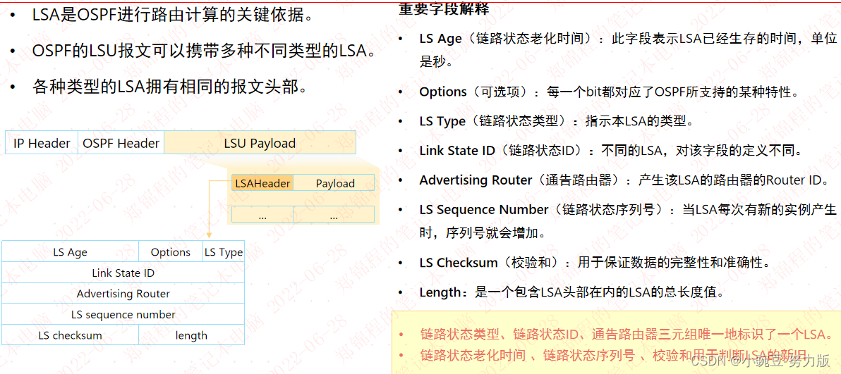 OSPF路由计算-CSDN博客